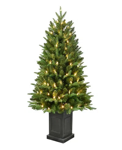 Puleo International 40" Pre-lit Fraser Fir Potted Tree In Green