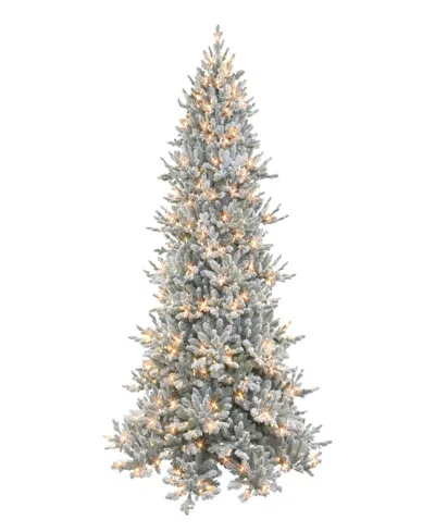 Puleo International 7.5' Pre-lit Royal Majestic Douglas Fir Downswept Christmas Tree In Green