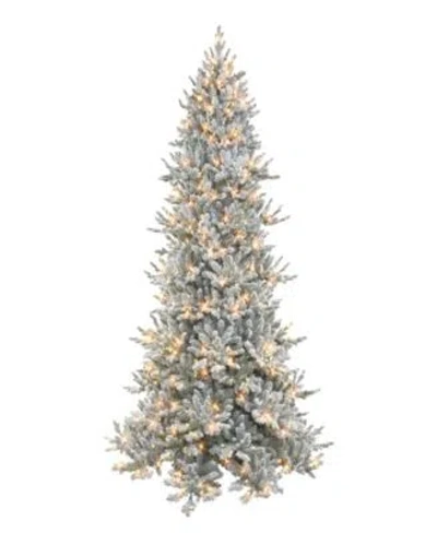 Puleo International Pre Lit Royal Majestic Douglas Fir Downswept Christmas Tree In Green