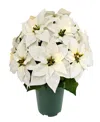 Puleo International Puleo 19" Pre-lit Artificial Potted White Poinsettias In White