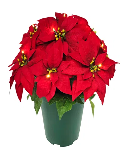 Puleo International Puleo 22" Pre-lit Artificial Potted Red Poinsettias