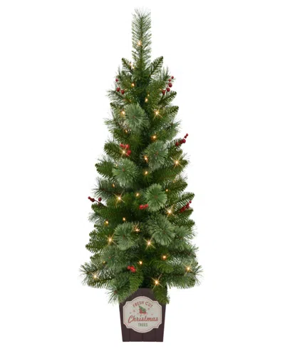 Puleo International Puleo 3.5' Artificial Cashmere Pre-lit Potted Christmas Tree In Green