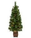 Puleo International Puleo 3.5' Artificial Pre-lit Potted Wyoming Pine Tree In Green
