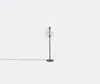 Pulpo Lighting Transparent Acetate In Transparent Acetate, Black