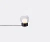 Pulpo Lighting Transparent In Transparent, Black