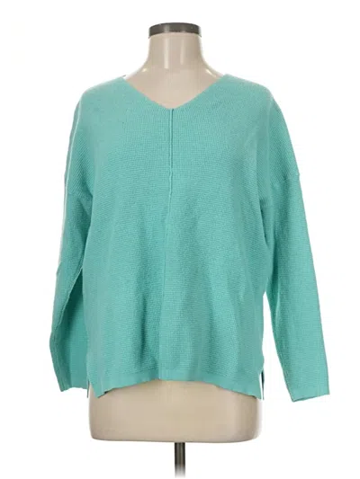 Pre-owned Pulse Pullover Sweater In Blue