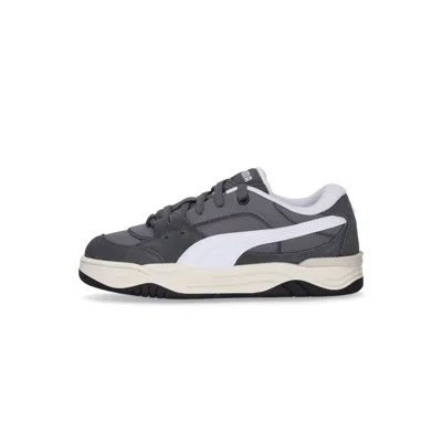 Puma 180 Vapor Grey/shadow Grey/black Men's Skate Shoes