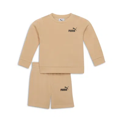 Puma Babies' 2-piece Toddlers' Pullover Crew And Shorts Set In Beige