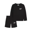 Puma 2-piece Toddlers' Pullover Crew And Shorts Set In Black