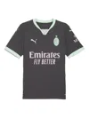 Puma Ac Milan 24/25 T-shirt In Gray