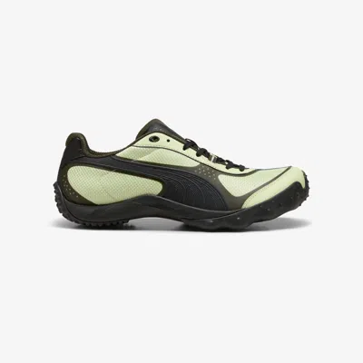 Puma Achillium Sneaker In Multi
