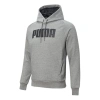 Puma Active Wear Hoodie 'grey' In Gray