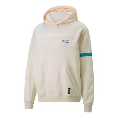 Puma All Decade Pullover Hoodie 'beige' In Neutral