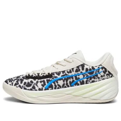 PUMA PUMA ALL-PRO NITRO 'CLYDE'S CLOSET'