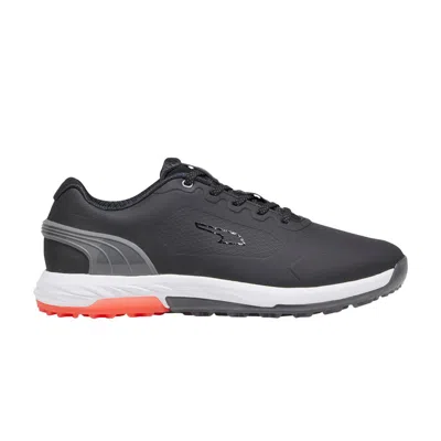 Pre-owned Puma Alphacat Nitro 'black Quiet Shade Red' | Men's Size 10