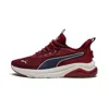 Puma Amplifier Men's Sneakers In Burgundy