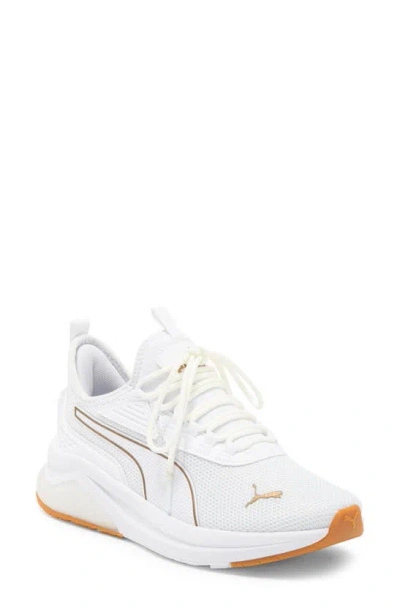 Puma Amplifier Sneaker In  White- Gold