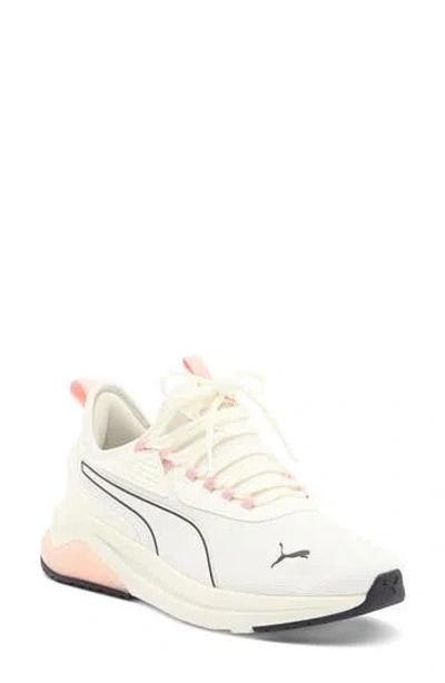 Puma Amplifier Soft Sneaker In Warm White- Black-rose