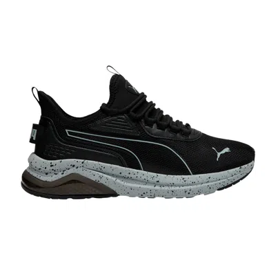 Pre-owned Puma Amplifier 'speckle' | Black | Men's Size 13