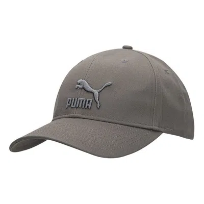 Puma Archive Logo Baseball Cap 'grey' In Brown