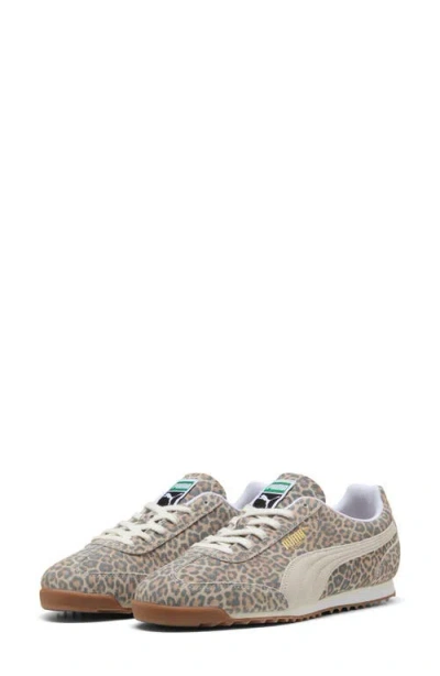 Puma Arizona Leo Sneaker In Gray