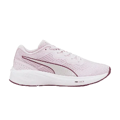 Pre-owned Puma Aviator Profoam Sky 'lavender Fog' In Purple