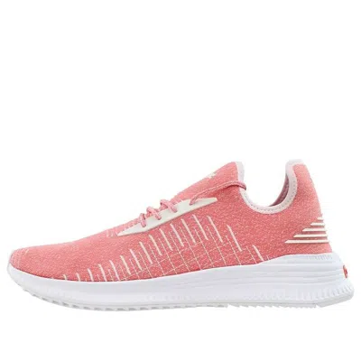 Puma Avid Evoknit Low Top Pink