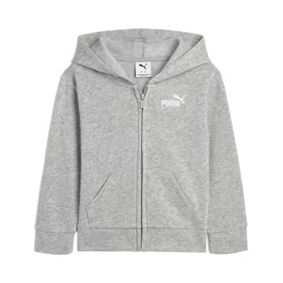 Puma Basic Essentials Big Kids' Hoodie In Gray