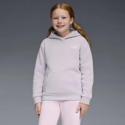 Puma Basic Essentials Big Kids' Hoodie In Purple
