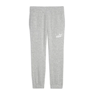 Puma Basic Essentials Little Kids' Fleece Joggers Pant In Gray