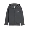 Puma Basic Essentials Little Kids' Hoodie In Gray
