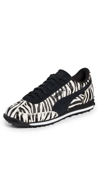 Puma Black
