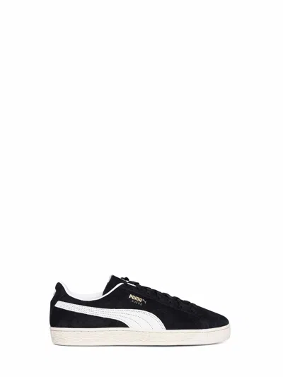 Puma Black Cfs Suede Charles F. Stead I Sneakers In Multi