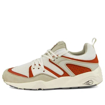 Puma Blaze Of Glory 'vaporous Grey Warm Chestnut' In Multi