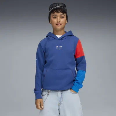 Puma Bmw M Motorsport Kids Essentials Hoodie Youth In Blue
