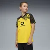 Puma Borussia Dortmund Replica Home 25/26 Kids Soccer Jersey In Yellow