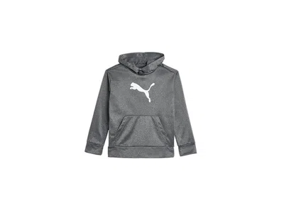 Puma Boys' Logo Pullover Hoodie Boy's Sweatshirt Charcoal : Xl (15-16 Big Kids), Cotton/polyester In Gray