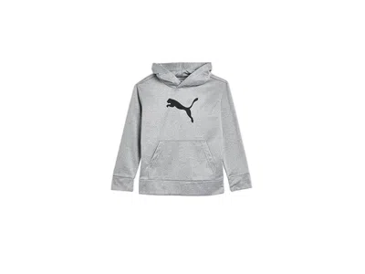 Puma Boys' Logo Pullover Hoodie Boy's Sweatshirt Light Heather Grey : 4 (little Kids), Cotton/polyes In Gray