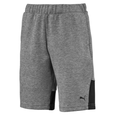Puma Kids' Boys' Tech Shorts In Gray