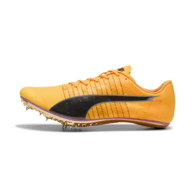 Puma Brush 6 Unisex Shoes In Orange