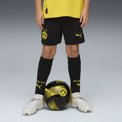Puma Kids' Bvb Shorts Rep W/blocking Youth In Black