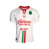 Puma Chivas Away Soccer Jersey Promo 25-26 Men In White