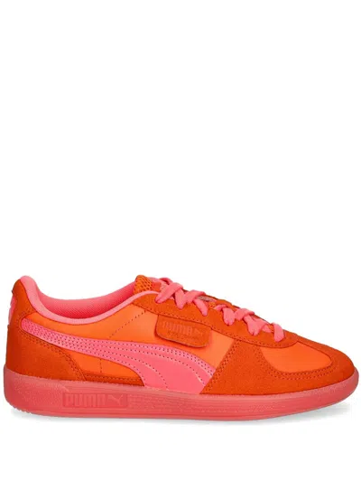 Puma Citrus Sneakers In Orange