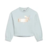 Puma Class Act Big Kids' Sweatshirt In Frosted Dew