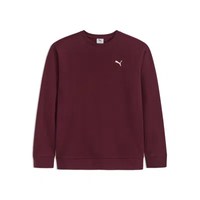 Puma Class Pack Little Kids' Fleece Crewneck Sweatshirt In Red