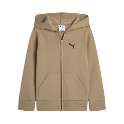 Puma Class Pack Little Kids' Fleece Hoodie In Brown
