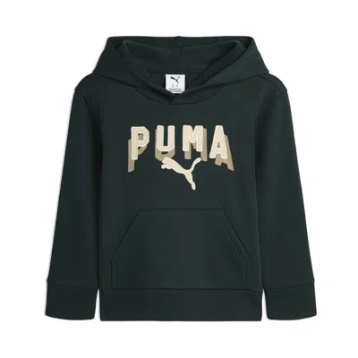 Puma Class Pack Little Kids' Fleece Hoodie In Green
