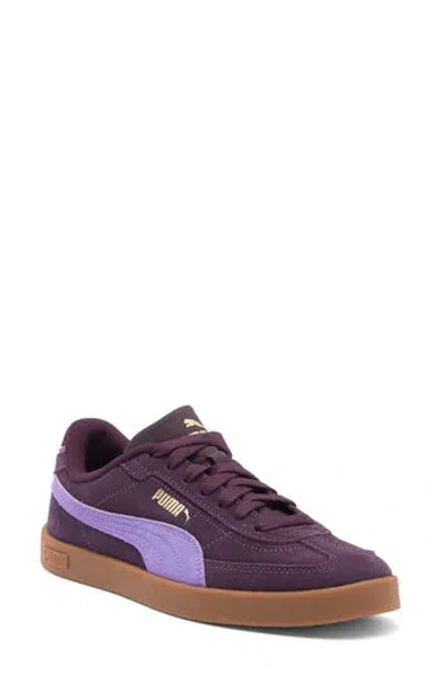 Puma Club Ii Era Sneaker In Midnight Plum-lavender Alert
