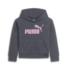 Puma Core Pack No.1 Logo Little Kids' Hoodie In Galactic Grey