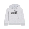 Puma Core Pack No.1 Logo Little Kids' Hoodie In Light Heather Grey